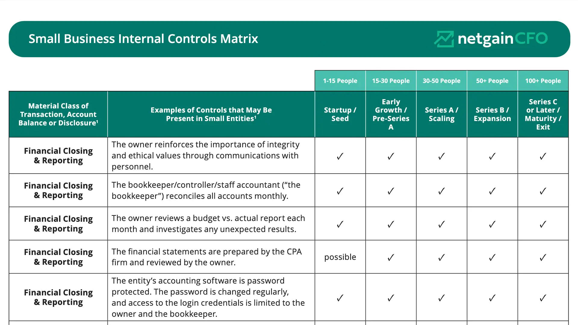 screenshot of the Internal Controls Matrix PDF